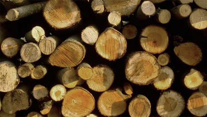 其它板材市场大部分板材选用2年杨杂木制作，易变形,易开裂使用期不长，且容易腐烂，需经常更换