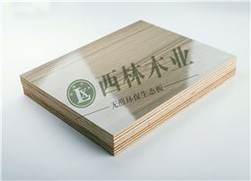 02_副本1.jpg