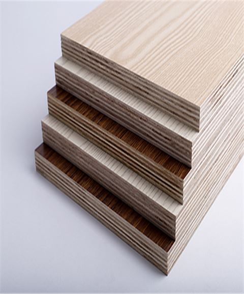 西林ENF级多层实木免漆板