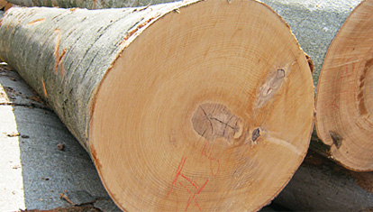 西林木业板材芯材的质量决定板材的质量，西林板材选用8年桉木制作表面光滑，坚韧耐用，且更接近于原木