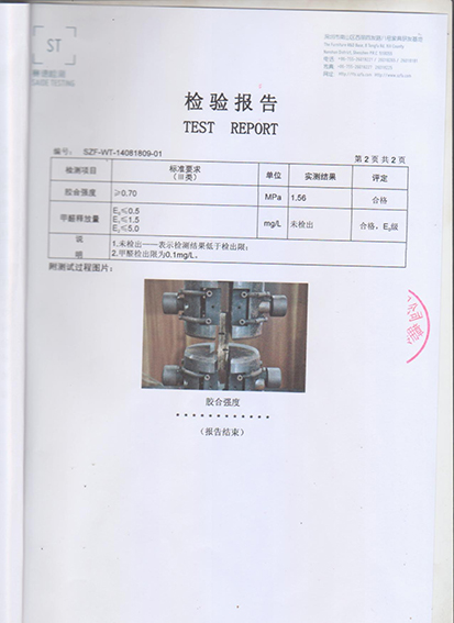 E0级检验报告2.jpg