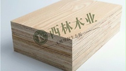 为什么选择西林装饰品牌？5大优势解析