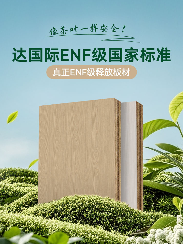 达国际ENF级国家标准