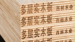 家里做衣柜哪种板材好？生态板真的更优吗？