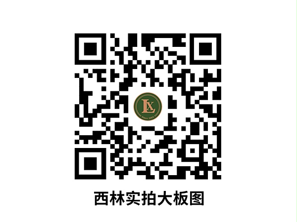 西林电子色卡全集