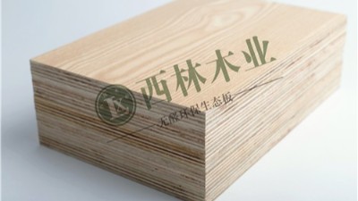 为什么选择西林装饰品牌？5大优势解析