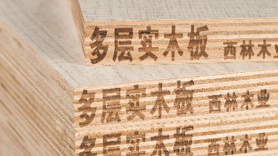 环保时代：如何选择优质ENF级生态板品牌？