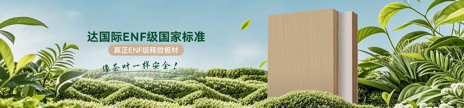达国际ENF级国家标准