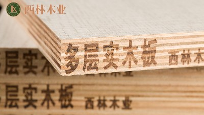 ENF级多层板<i style='color:red'>哪家好</i>？看懂这四点，西林木业让您选得放心